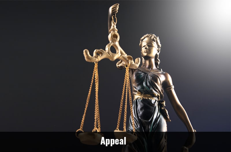 Appeal