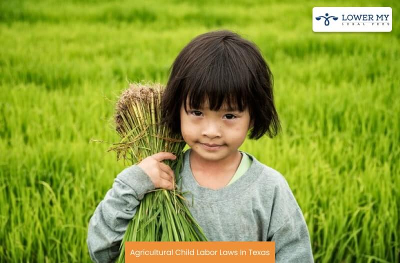 Agricultural Child Labor Laws In Texas