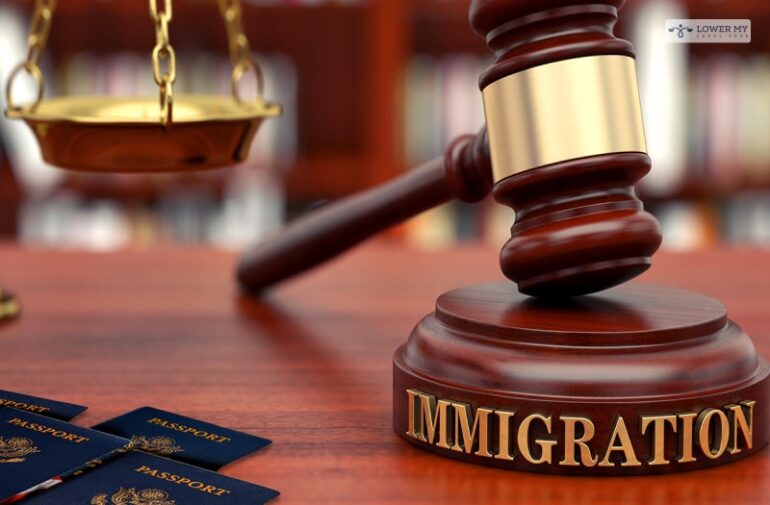 What Are The Immigration Laws? The Legal Guide