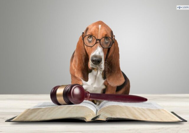 Legality Of Beastiality